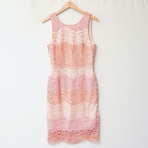 GORGEOUS Tahari Lace Cocktail Dress - Peach & Pink, Midi, Zipper Back, V-Neck